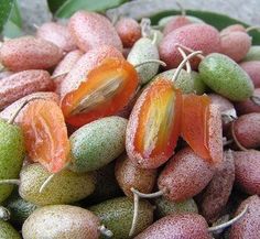 some fruit that are sitting on the ground