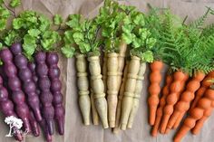 carrots, radishes, and beets are lined up on a brown paper bag