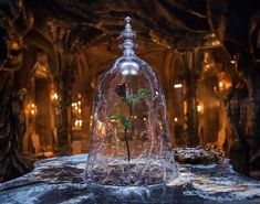 a glass bell jar with a plant in it sitting on top of a stone table