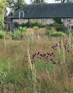 the house is surrounded by tall grass and wildflowers, with purple flowers in the foreground