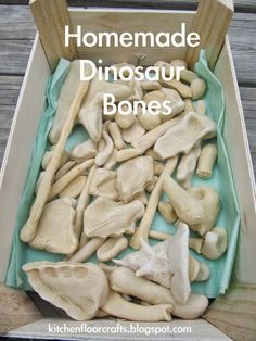 a box filled with different types of dinosaur bones