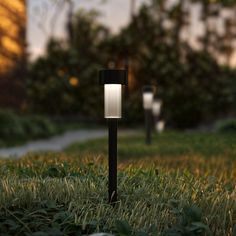 an outdoor light in the grass near some trees