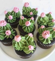 cupcakes decorated with green and pink flowers on a white plate