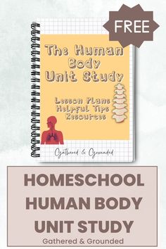 the human body unit study for homeschool human body unit study