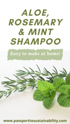 Diy Rosemary Mint Hair Oil, Diy Rosemary Mint Shampoo, Homemade Herbal Shampoo Recipe, Rosemary Peppermint Hair Growth, Homemade Rosemary Shampoo, How To Make Your Own Shampoo For Hair Growth, Natural Products For Hair, Rosemary Conditioner Diy, Diy Aloe Shampoo