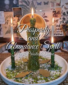 a cake with candles on top of it and the words prosperity and abundance spell in front of