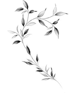 a branch with leaves on it is shown in this black and white drawing by person