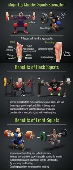 an info sheet describing the different types of muscles and how they are used to perform