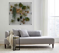 a living room with a couch, coffee table and potted plants on the wall