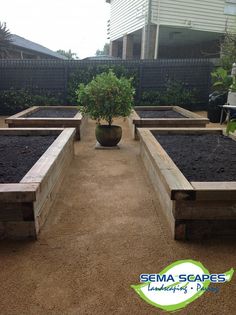 there is a planter in the middle of some raised beds with plants growing out of them