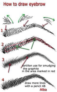 how to draw eyebrows for beginners with step by step instructions on how to draw eyes