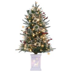 a small christmas tree in a white pot with lights and decorations on the bottom shelf