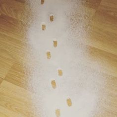 the cat is walking down the wooden floor with his paw prints in the white powder