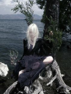 a woman sitting on top of a tree next to the ocean in a black dress