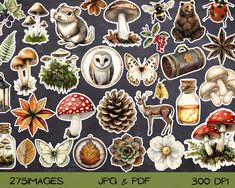 an image of various stickers on the back of a laptop screen with trees, mushrooms and other items