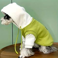 a small dog wearing a green and white hoodie on top of a wooden table