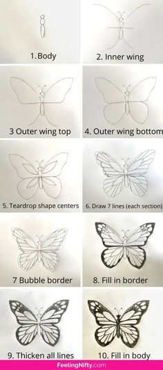 the instructions for how to draw a butterfly