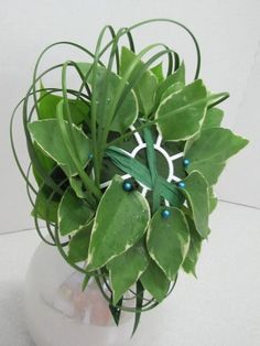 a plant with green leaves and blue beads in a glass vase on a white table