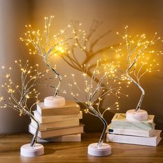 some books are stacked on top of each other with lights in the branches above them