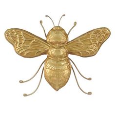 a gold colored insect on a white background