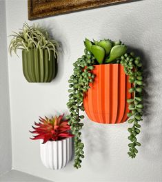 three different types of succulents are hanging on the wall next to each other