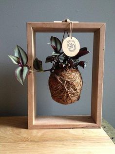 a potted plant in a wooden frame with a tag hanging from it's side