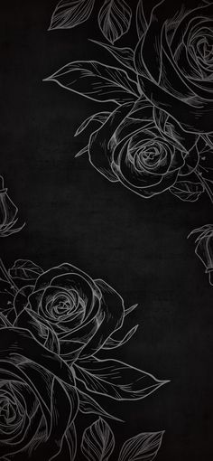 black and white roses on a dark background