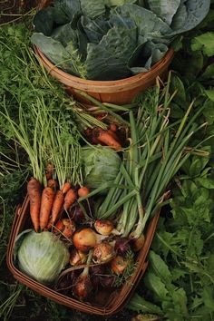 several baskets filled with different types of vegetables