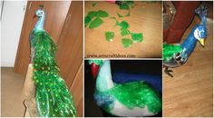 there is a collage of pictures with green and blue feathers