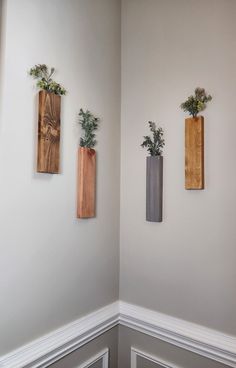 three wooden vases with plants in them on the wall