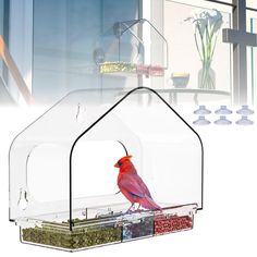 a red bird sitting on top of a glass house