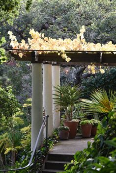 an outdoor area with potted plants and stairs leading up to the top of it