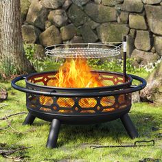 a fire pit sitting on top of a lush green field