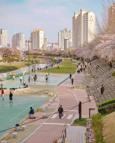 many people are walking around in the park with cherry blossoms on trees and buildings behind them