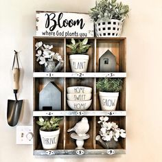 the instagram page for instagrams shows an image of pots and plants on shelves