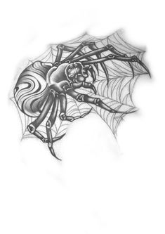 a black and white drawing of a spider