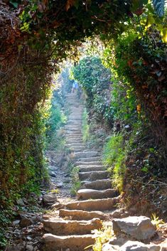 some steps going up to the top of a hill