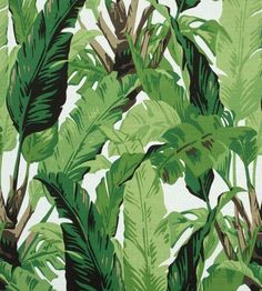 a green and white tropical print wallpaper with lots of leafy plants on it