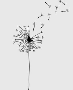 a dandelion blowing in the wind on a gray background