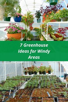 pictures of greenhouses located in areas that have high winds Greenhouse Diy, Patio Gardening, Build A Greenhouse, Greenhouse Plants