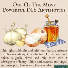 Diy Antibiotics, 1000 Lifehacks, Natural Antibiotic, Herbal Medicine Recipes, Herbal Remedies Recipes, Medical Herbs, Backyard Plants