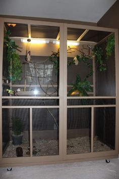 a room that has some plants inside of it and lights on the wall above them