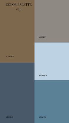 the color palette is blue and brown