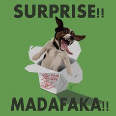 a dog in a box with its mouth open and tongue out, saying surprise madafka