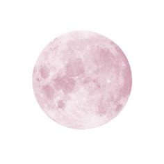 the full pink moon is shown against a white background