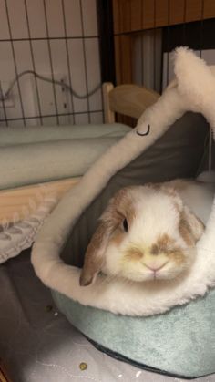 a small rabbit is sitting in a bed