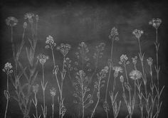 chalk drawing of wildflowers on a blackboard with chalk pastel and pen