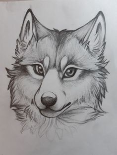 "Unlock the Secrets of Realistic Drawing 🗝️🎨 Enhance Your Artistic Skills!" (Follow This Link) Cute Wolf Drawing Easy, Cute Animal Sketches Easy, Animal Sketches Realistic, Wolf Drawing Sketch, Sketches Wolf, Wolf Drawing Easy, Animal Sketches Easy, Easy Pencil Drawings, Drawing Dragon