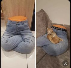 an orange cat sitting on top of a pair of jeans that have been rolled up