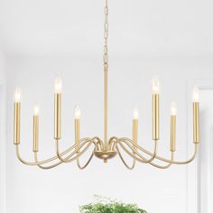 a chandelier hanging from a ceiling in a dining room with potted plant